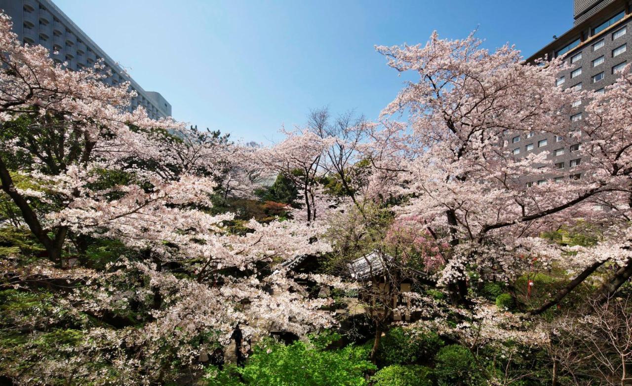 Grand Prince Hotel Takanawa Токио Экстерьер фото Cherry blossoms at the campus