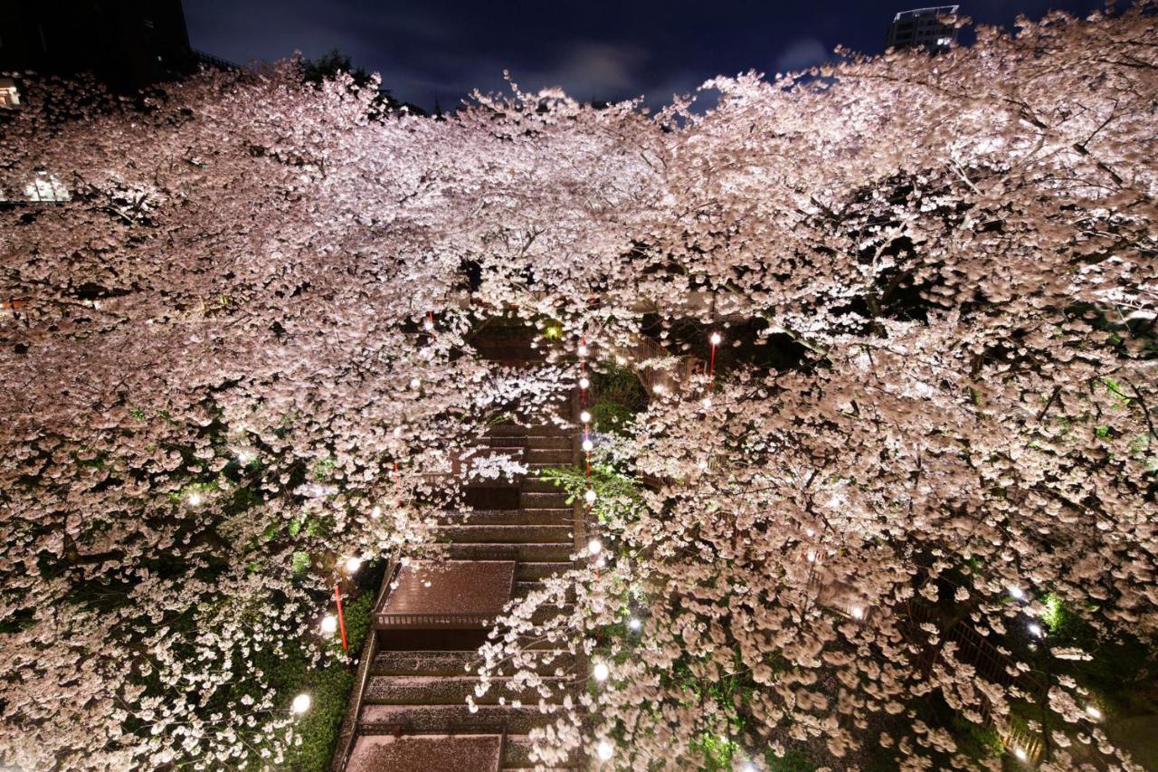 Grand Prince Hotel Takanawa Токио Экстерьер фото Cherry blossoms at night